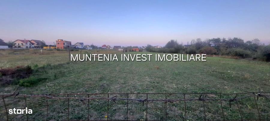 Teren 6000 mp. intravilan Smeura, str. Olteni - 9