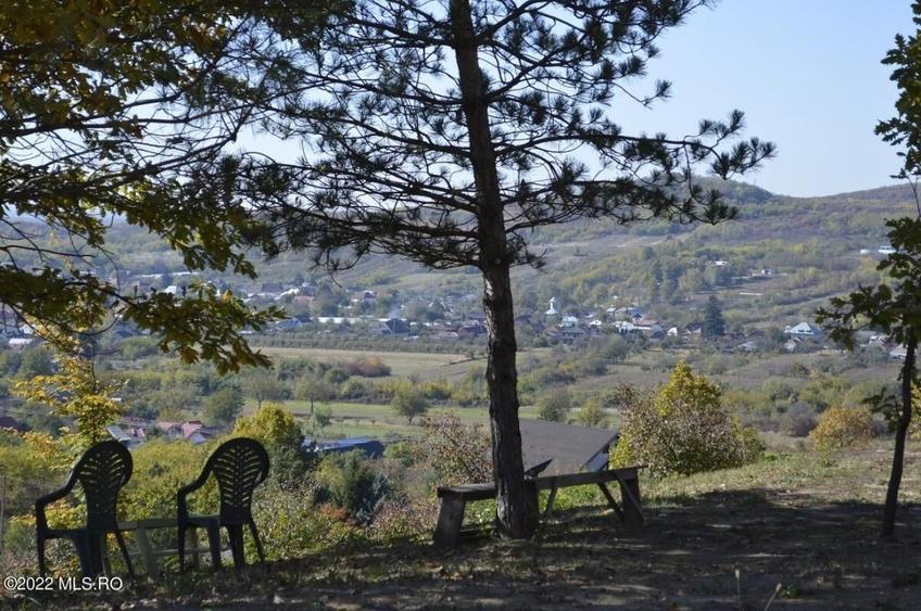 Topoloveni - Conacul Ion Mihalache, Domeniu pe 5 Hectare! - 17