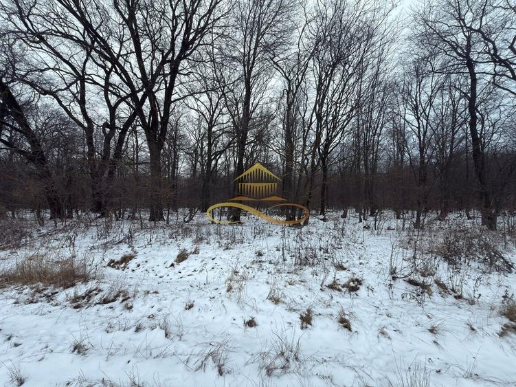 Teren extravilan - Padure de vanzare in Beresti Bistrita - 4