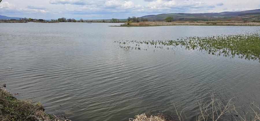 Teren Rotbav  str. Ștefan cel Mare – 3668 mp, intravilan cu deschidere la lac. - 5