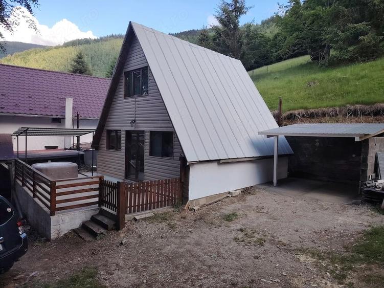 Casa de vacanta de vanzare Rau?or-Retezat - 3