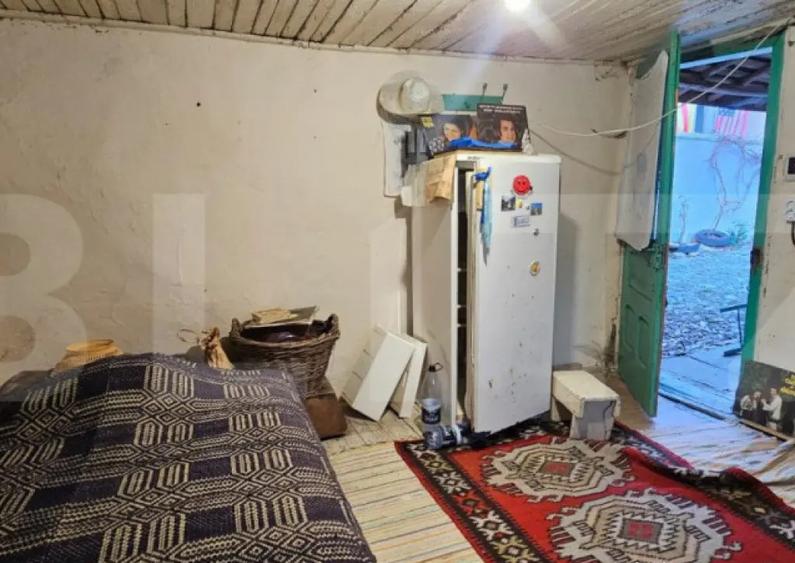 Casa rustica (62mp) in sat Magura cu 1000mp teren si anexe! - 8