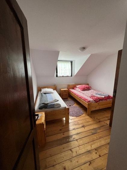 Cabana de 210mp, 2600 mp teren, in Rachitele - 9