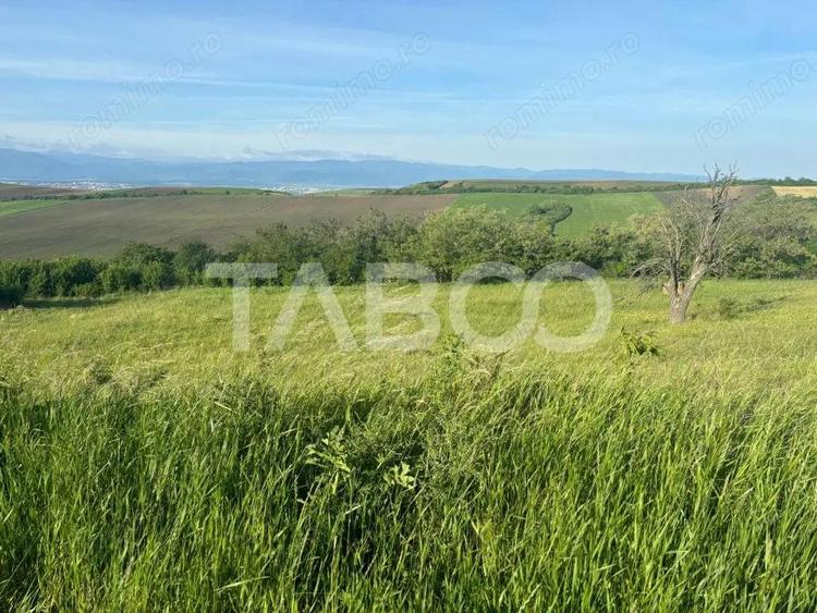 Teren de vanzare intravilan 8900mp Sura Mare zona deosebita - 3