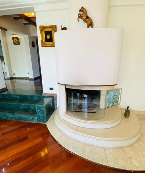 Vila de lux, 427 mp utili si 2313 mp teren, pe malul lacului (Cociova) Balotesti - 7