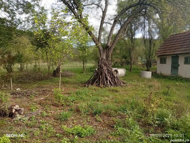 Casa Batraneasca - 1
