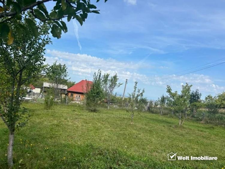 Teren pentru casa/cabana intr-o zona cu aer curat - 4