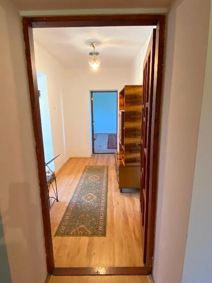 Proprietar vand casa de vacanta gata de locuit in Cebza , sat linistit - 9