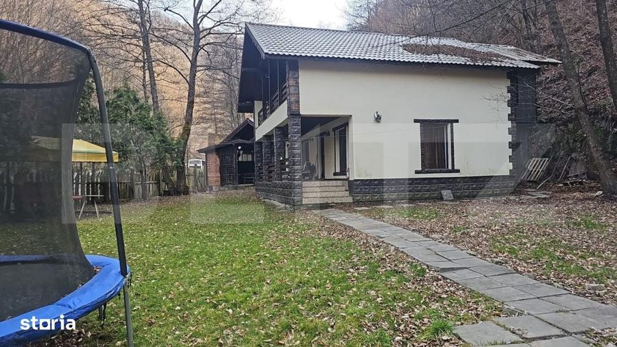 CABANA DACICA Refugiu premium la poalele Muntilor Dacici, in inima - 13