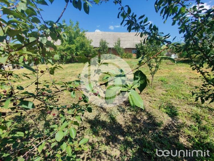 Teren intravilan Sura Mare - 578 Mp - PUZ aprobat si toate utilitatile - 2