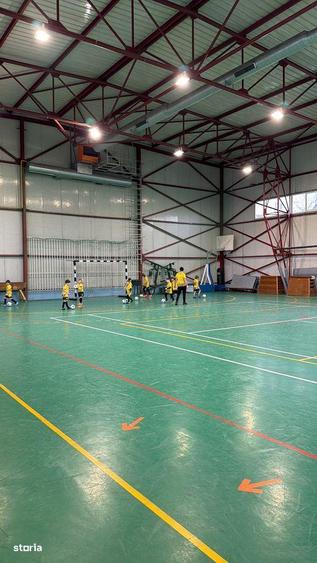 Decebal 300 conf 2 - 2