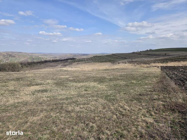 Teren de vanzare Pata Cluj - 4