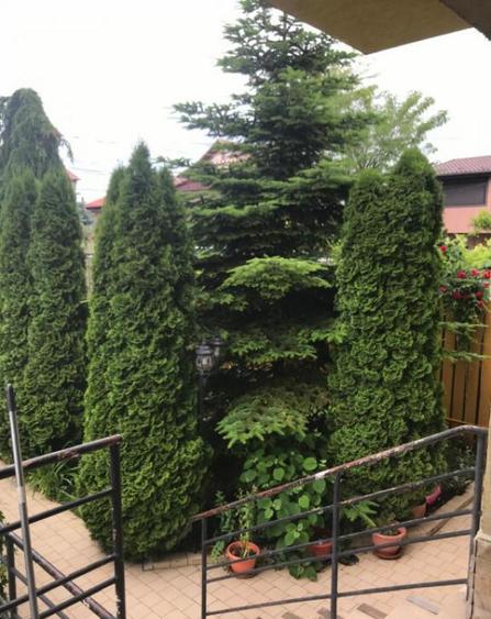 Casa S+P+1+M km5 - 6