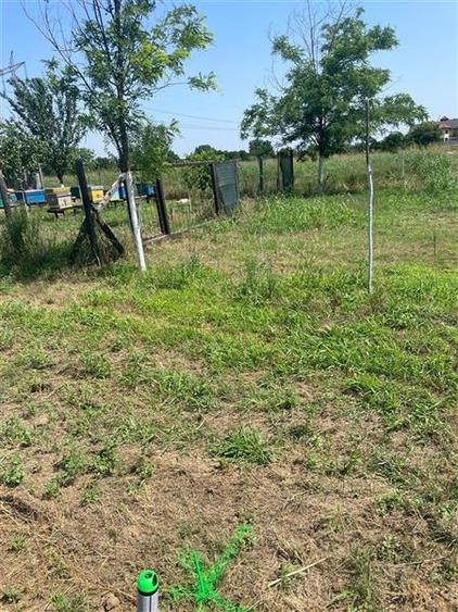 Vanzare teren localitatea Magurele - 1