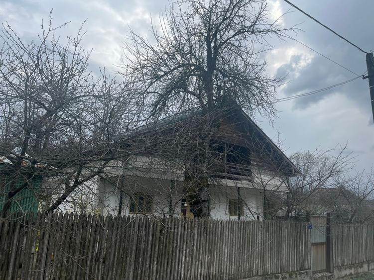 Gospodărie 2 case cu teren 5000m - 2