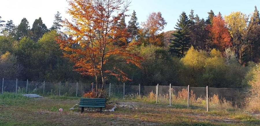 Teren intravilan 1.500 mp in Sacele – utilitati, platforma betonata si potential - 1