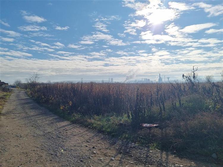 De vanzare parcele de 5 arii, utilitatile la poartă strada graului, Nazna - 2