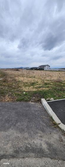 Stupini str. Barsei, asfalt, utilitati, 14 loturi 500-700 mp=7.692 mp. - 2