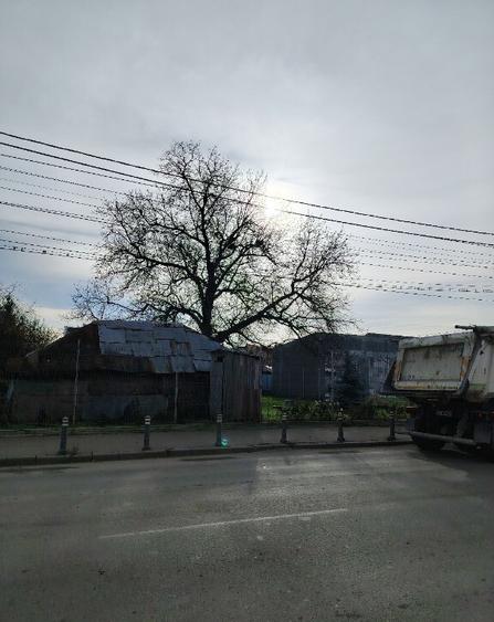 Teren de vanzare - 3