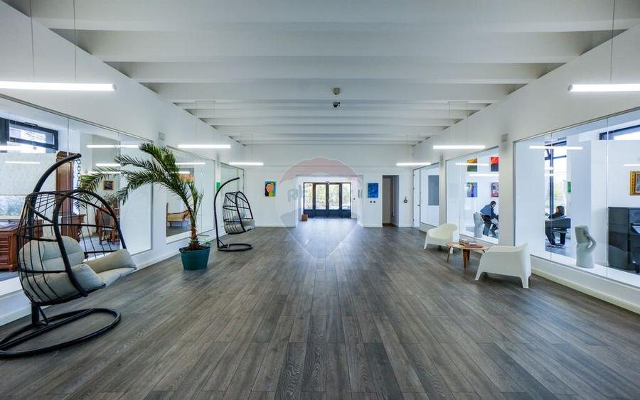 Hala industriala Clasa A, 895 mp + teren 2.880 mp, Ploi... - 19