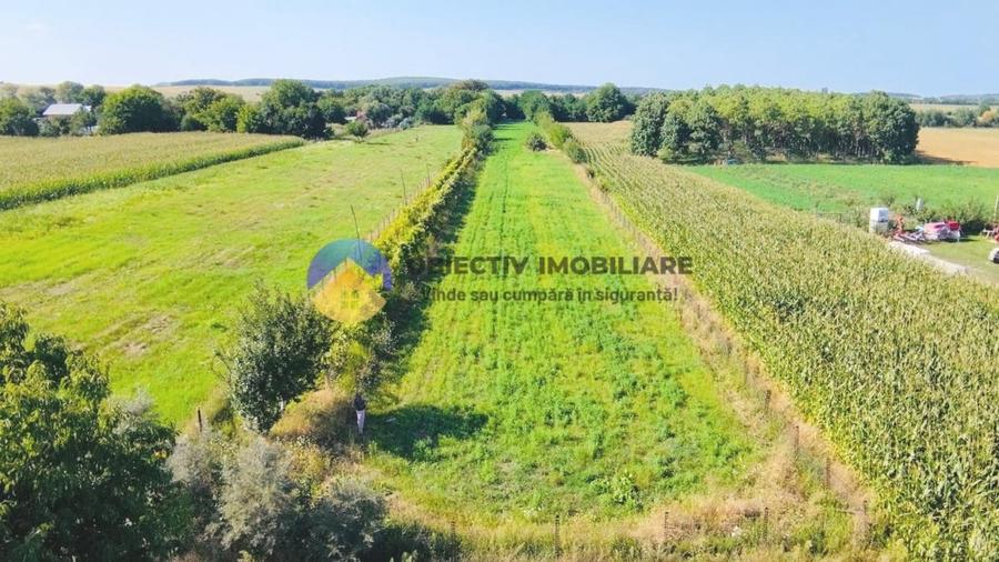 TEREN intravilan  6764 mp DRAGOMIRESTI - VAD - 1