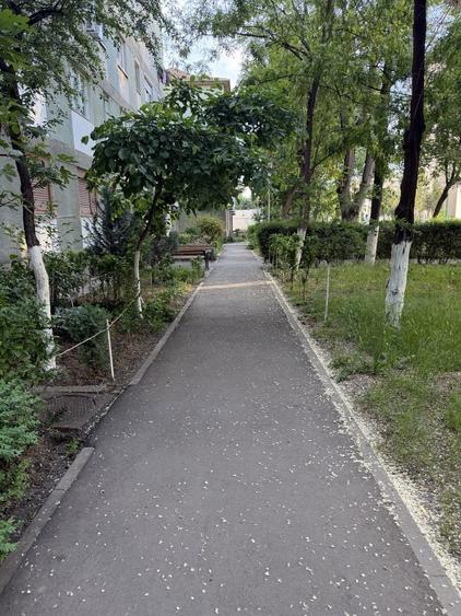 Apartament 2 camere Calea Romanilor 1 minut de centru mobilat complet 59.000 - 7