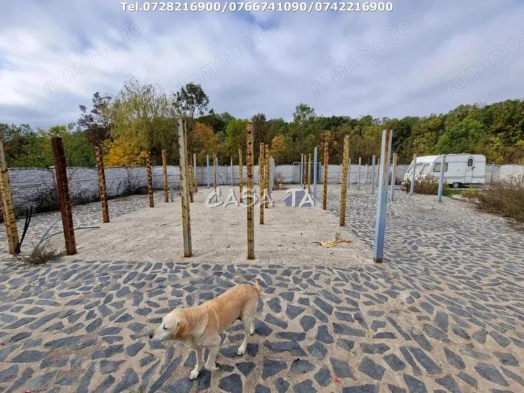 Teren Intravilan (498 mp),situat in Botorogi - Danesti - 3