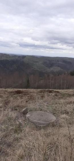 Teren de vanzare ideal pentru cabana in Maguri Racatau - 4