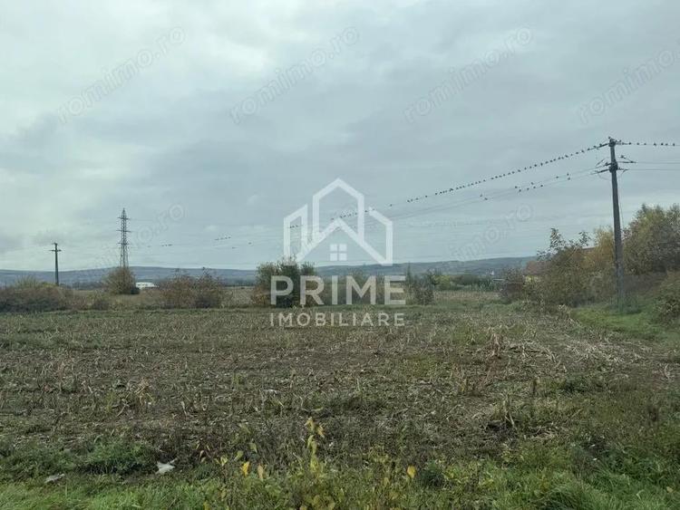 Teren intravilan 2500 mp | UTILITATI | ZONA DE CENTURA - ALBA IULIA | - 1