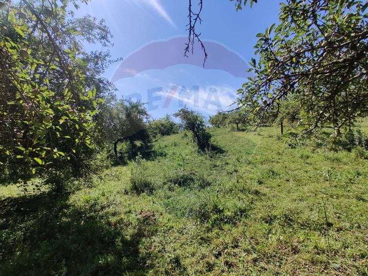 Teren intravilan in Remetea Chioarului - 6