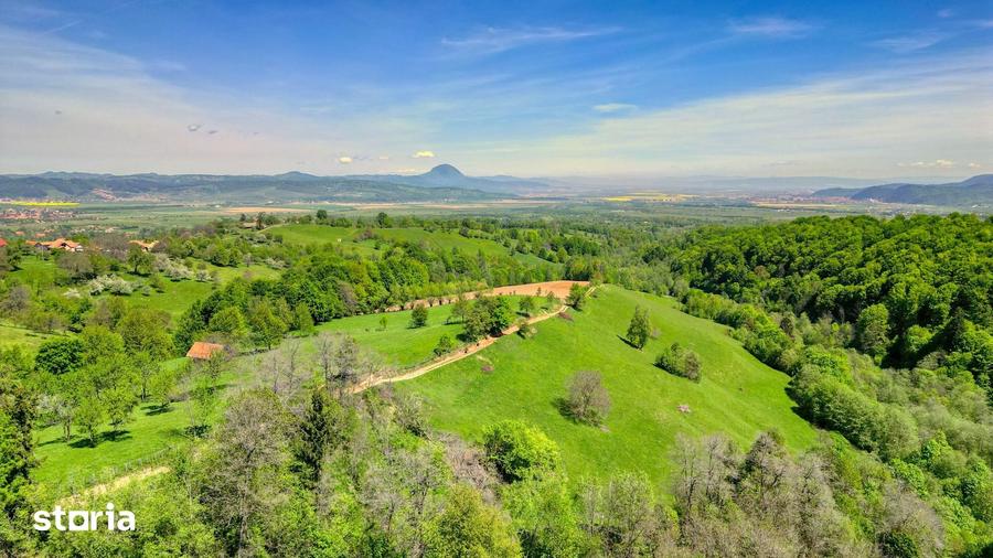Teren extravilan 20.000 mp, zona Bran, vedere spre Mun?ii Bucegi - 5