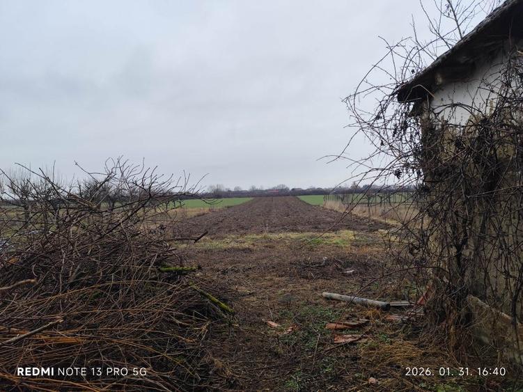 Vand teren intravilan cu casa la Salard - 3