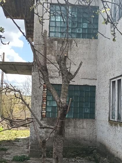 Vand casa in localitatea Albesti si teren intravilan - 5