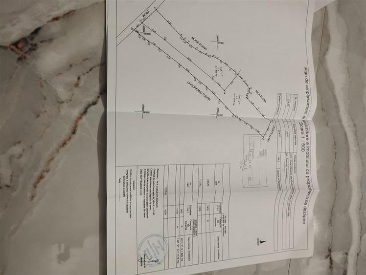 TEREN GURA VITIOAREI - 9