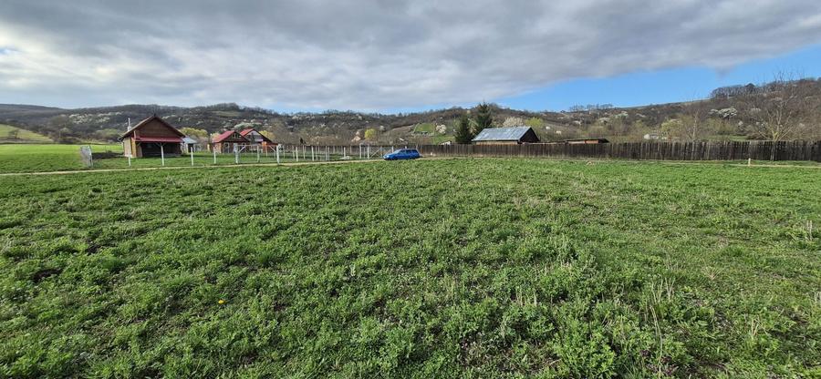 Teren extravilan 5100 m2 - 1