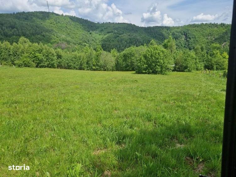 Oportunitate Investitie! Teren Intravilan, 4411 mp, Valea Ierii - 1