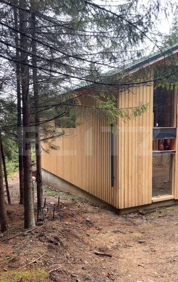 Casa de vacanta | Partia Buscat - 2