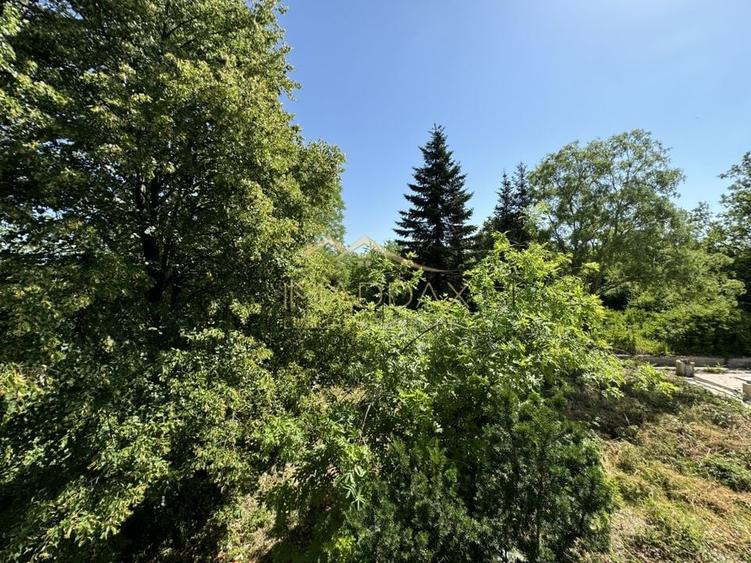 Vila cu 13 camere *4000mp teren* / Piscina / Snagov - 59