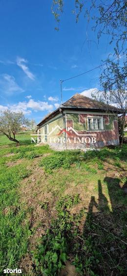 NECTORA IMOB-Casa 70 mp cu teren 951 mp, front 16 mp, Paleu Centru - 5