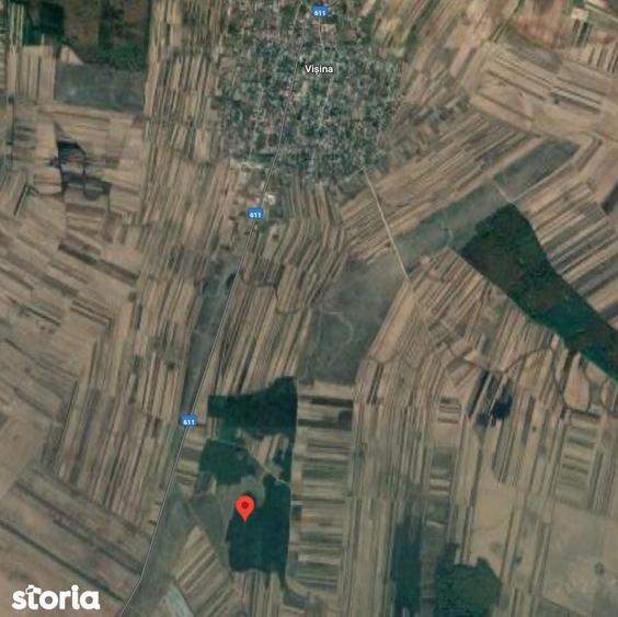EXCLUSIVITATE: 20.000 mp teren impadurit langa Vi?ina, Dambovi?a - 1