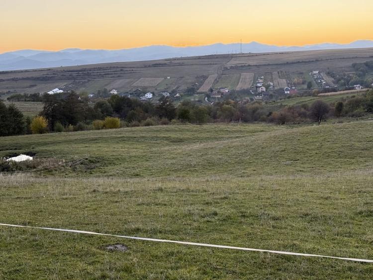 Teren extravilan de vanzare in Salicea 916mp+84mp drum necesita PUZ - 9