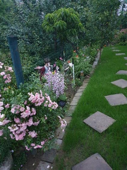 Casa cu gradina #pret negociabil # singur in curte - 15