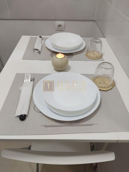 Studio 1C, Zona Lipovei, centrala proprie, disponibil imediat, contract anaf - 3