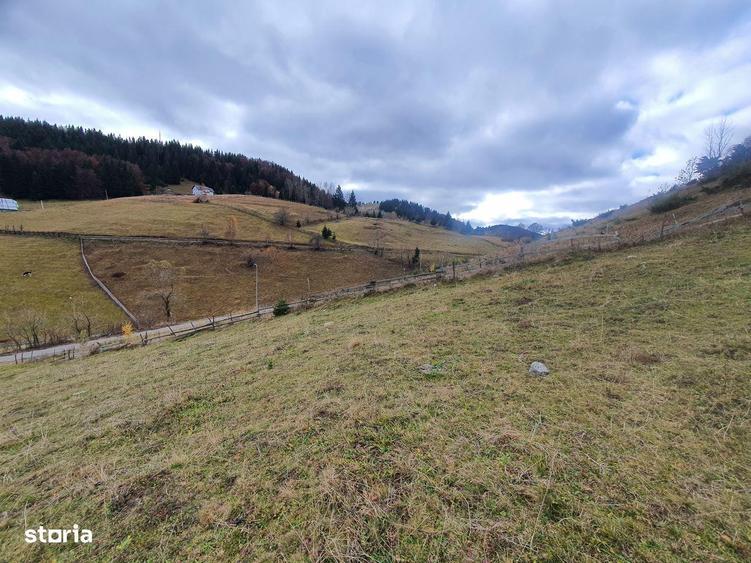 Teren rezidential intravilan Bran Fundata zona de case si pensiuni - 3