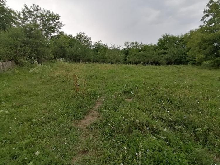 Bughea de Jos, Curte 1512/3025mp, 5 min Valeni PH - 9