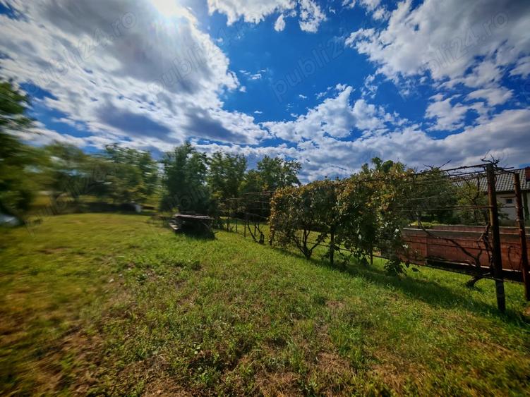 Casa centrala ?omcuta Mare 2 locuin?e + teren 16 ari - 6