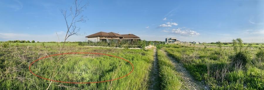 Teren Corbeanca, Balotesti, retras, cu pădure si lac in apropiere - 4
