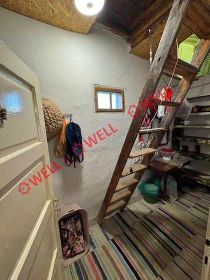 Casă cu 3 camere cu Teren 4669 Mp în Leț