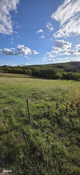 Teren mixt de vanzare, 9500 mp, acces asfaltat - 9