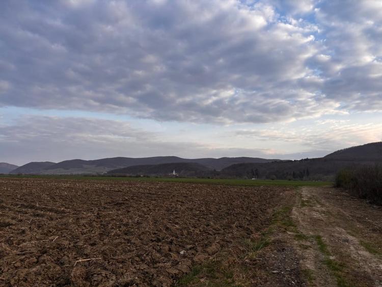 Teren agricol extravilan de 2500 mp, în Sud